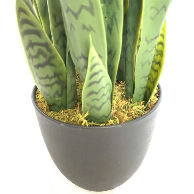 Real Touch Yellow Sansevieria ( Snake Plant)