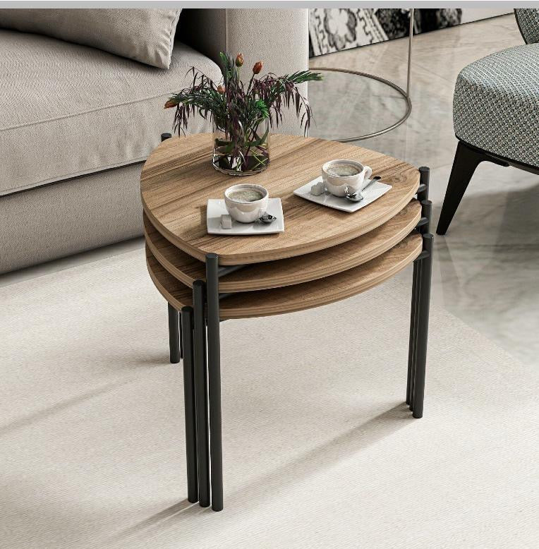 Lenny Nesting CoffeeTable set