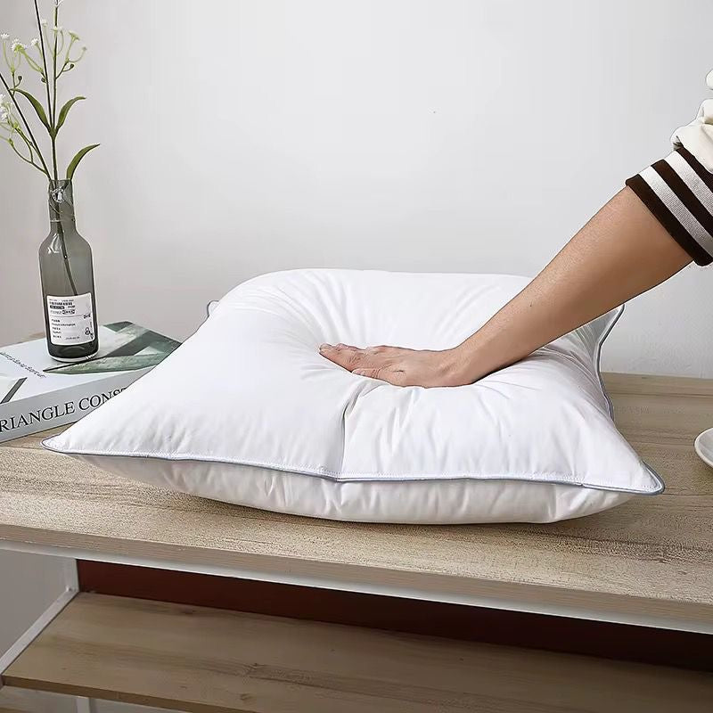 2 Pcs Set Cotton Pillows
