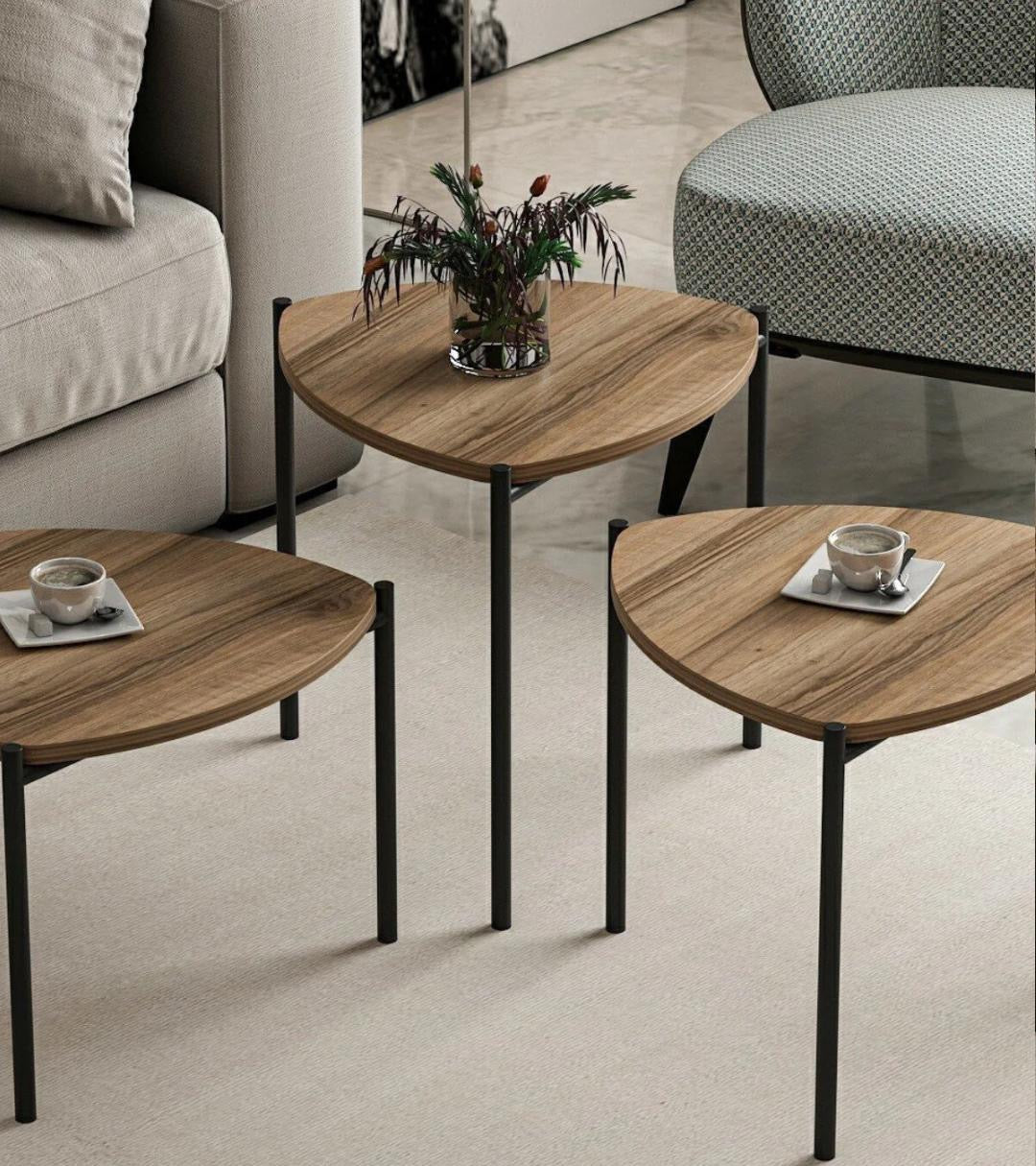 Lenny Nesting CoffeeTable set