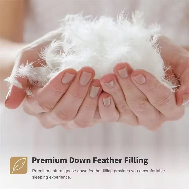 Cotton Duvet