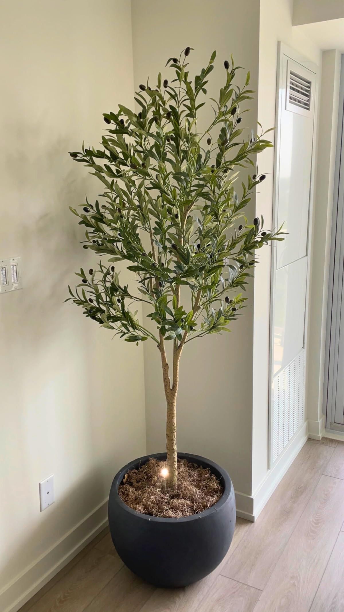 Artificial Olive plant
