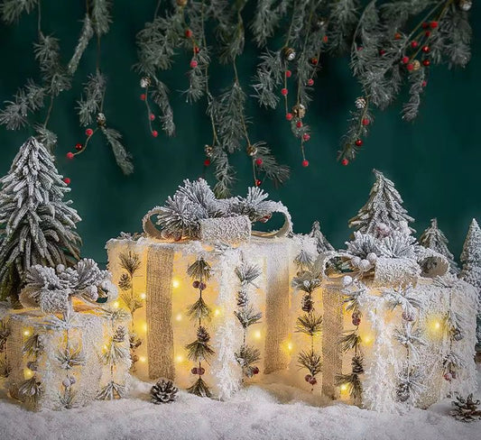 3Pc Set Snow Flocked Christmas Lighted Gift Boxes