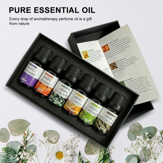 6Pc Set 100% Pure Natural Aroma Therapy (10ml)