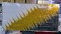 Textured Canvas Oil Painting