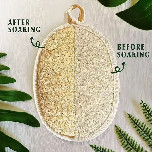 Bathing Sponge