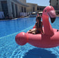 Giant Inflatable Flamingo Float