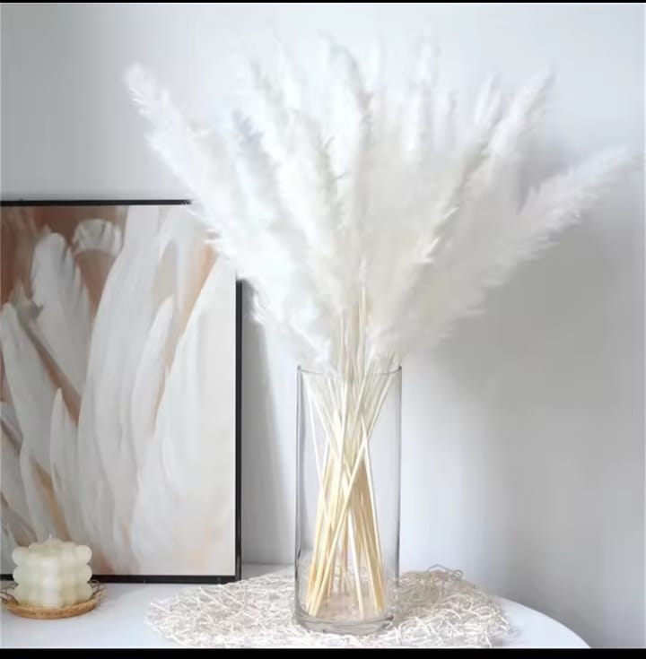 15pcs Dried Pampas Grass