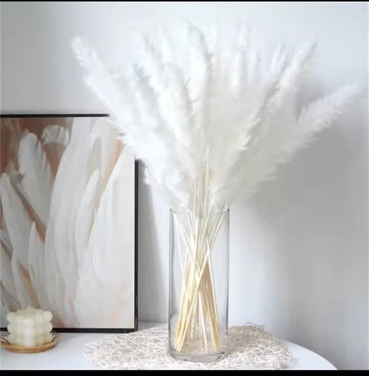 15pcs Dried Pampas Grass