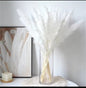 15pcs Dried Pampas Grass