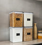 4pcs Food Storage Containers
