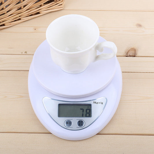 Portable LED Digital Scale