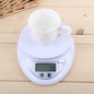 Portable LED Digital Scale