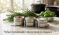 3pc Magnetic Spice Set