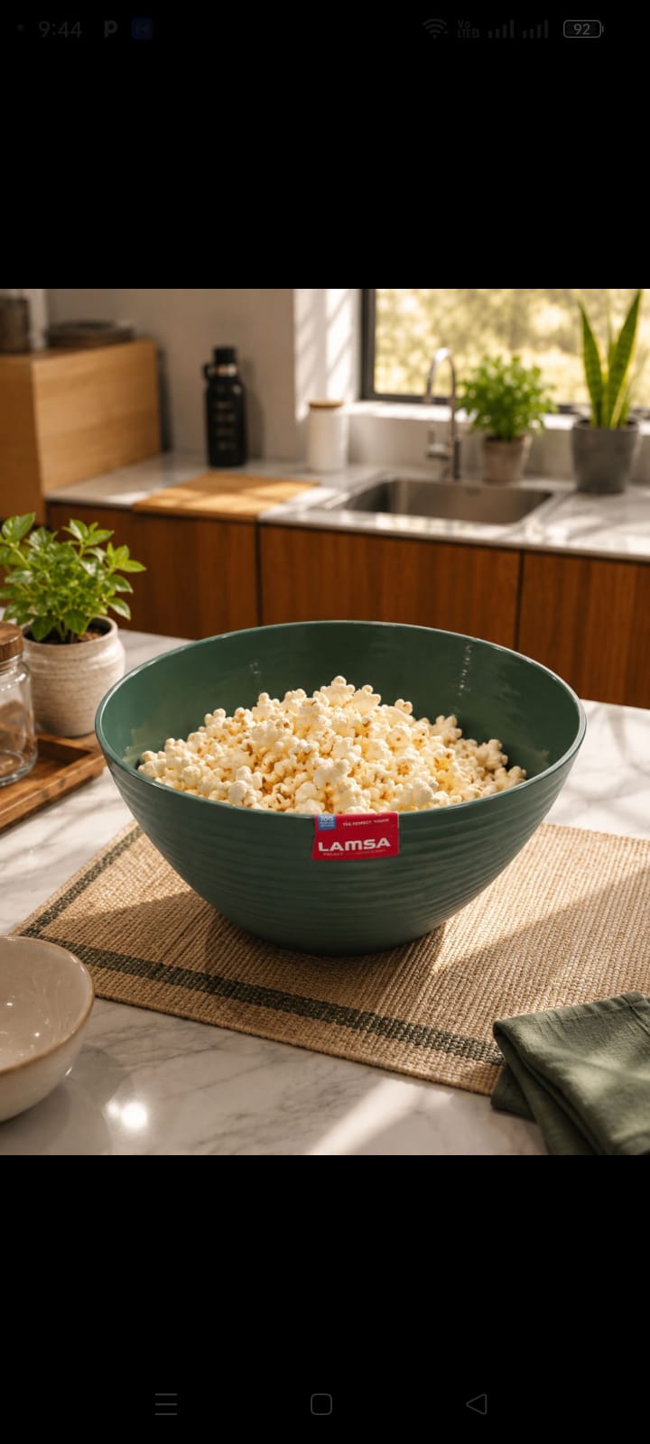 PLASTIC FOOD BOWLS