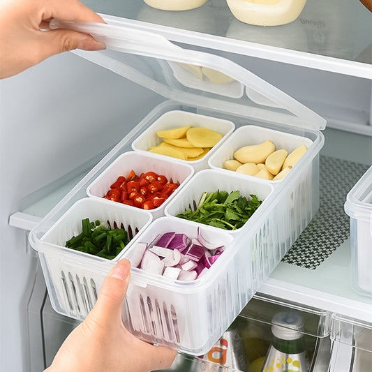 6 GRID FOOD STORAGE CONTAINER WITH LID