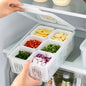 6 GRID FOOD STORAGE CONTAINER WITH LID