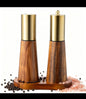 Set 2pcs shakers + 1 wooden Tray