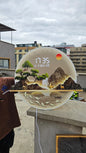 Pine 3D LED Decorative Wall Clock