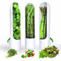 Herb and Vegetable Fresh-Keeping Cup kitchen Storage Vegetable Preservation Bottle Kitchen Storage cup