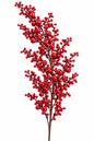 Christmas Decorative Berry stem