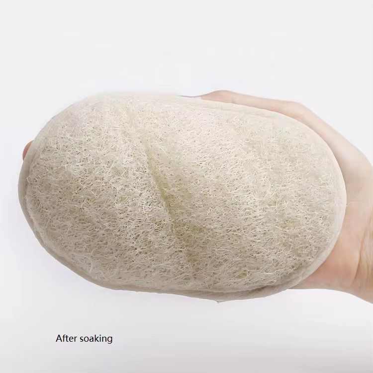 Bathing Sponge
