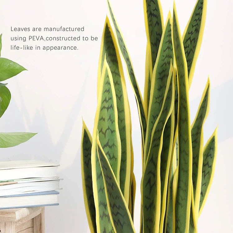 Real Touch Yellow Sansevieria ( Snake Plant)